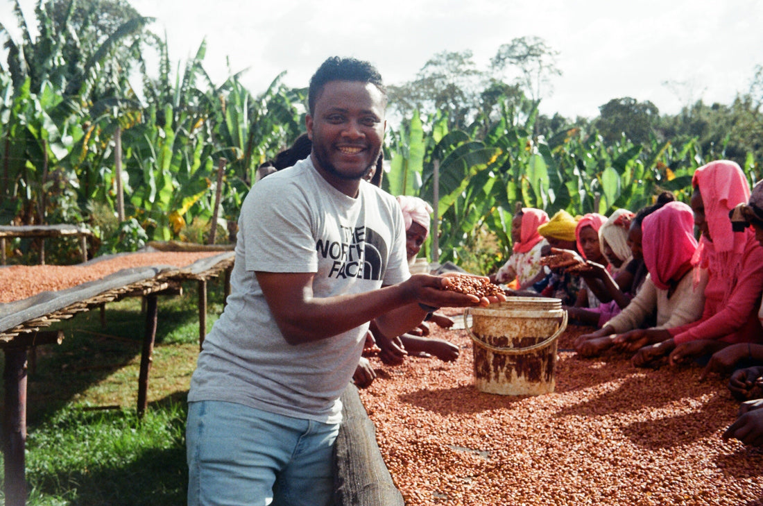 Direct Trade: Ethiopia Alo Coffee