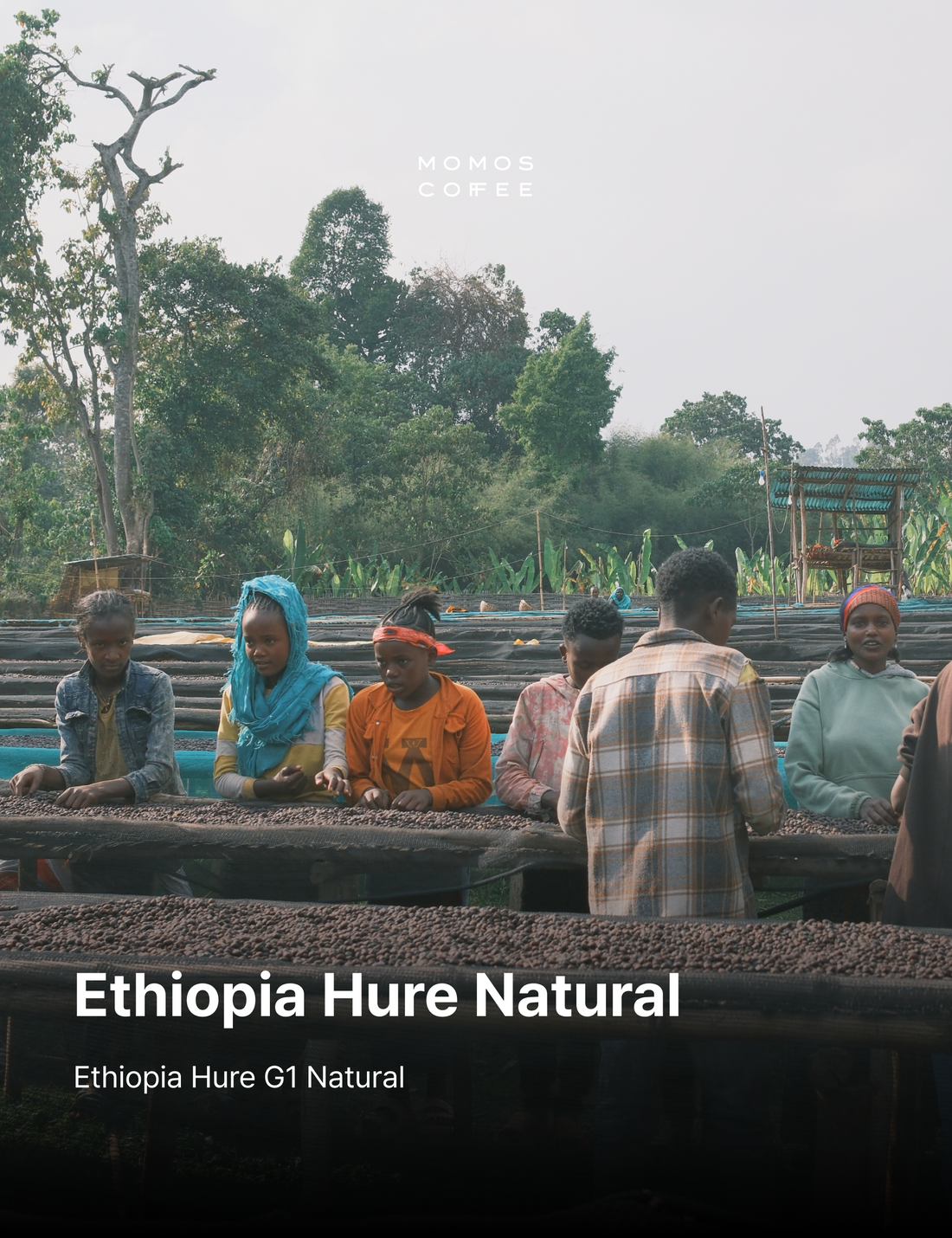 Ethiopia Hure Station