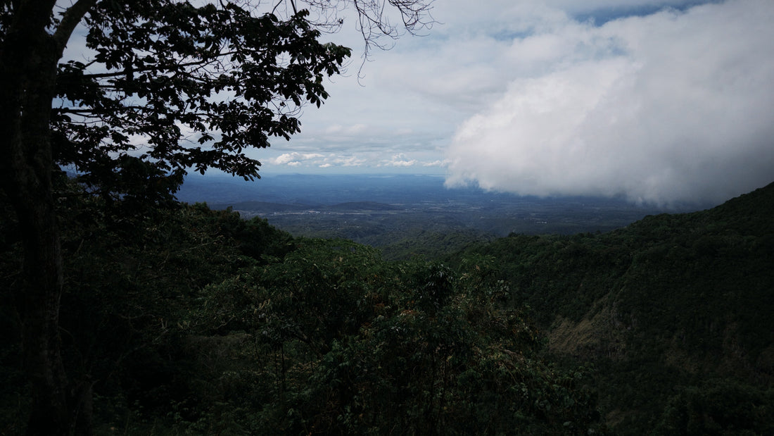 Panama Los Lajones
