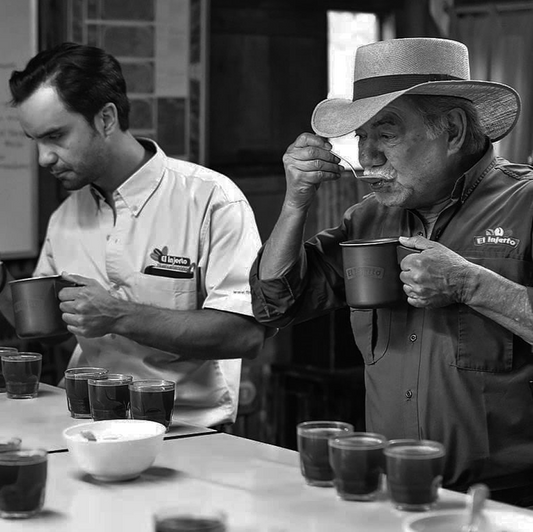 Direct Trade: Guatemala El Injerto